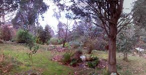 View of garden between house and outdoor studio