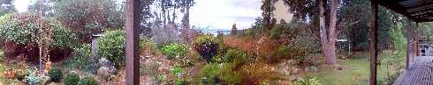 Panoramic view of the wide verandah and garden